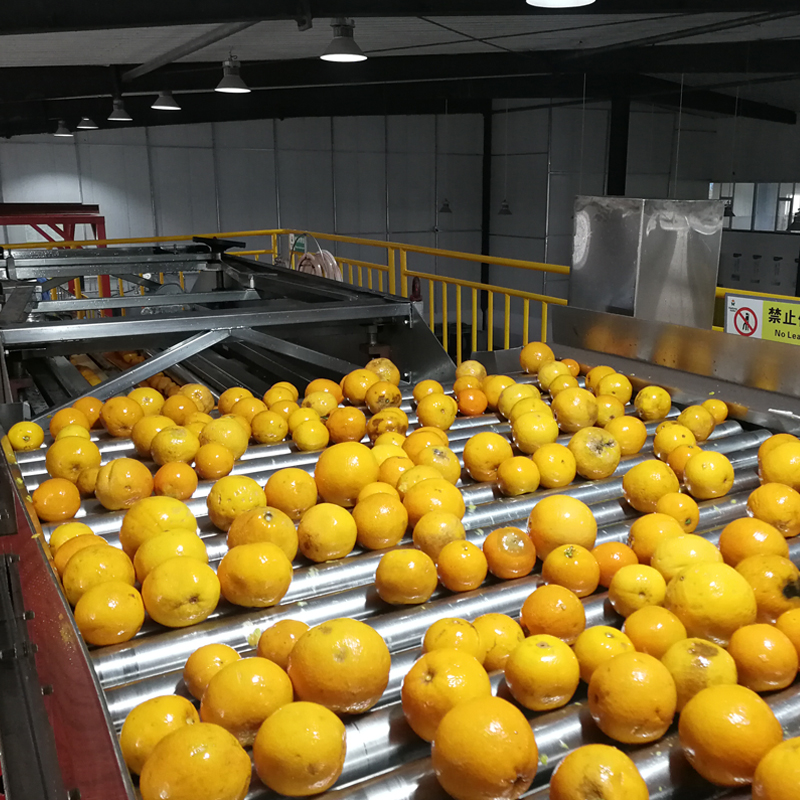 The global orange market is facing many challenges in 2019