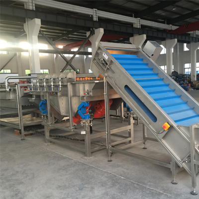 Palm dates dry washing processing line