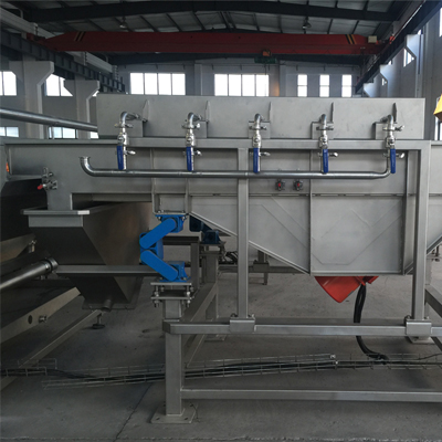 Palm dates dry washing processing line