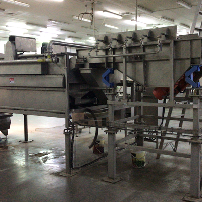 Palm dates dry washing processing line
