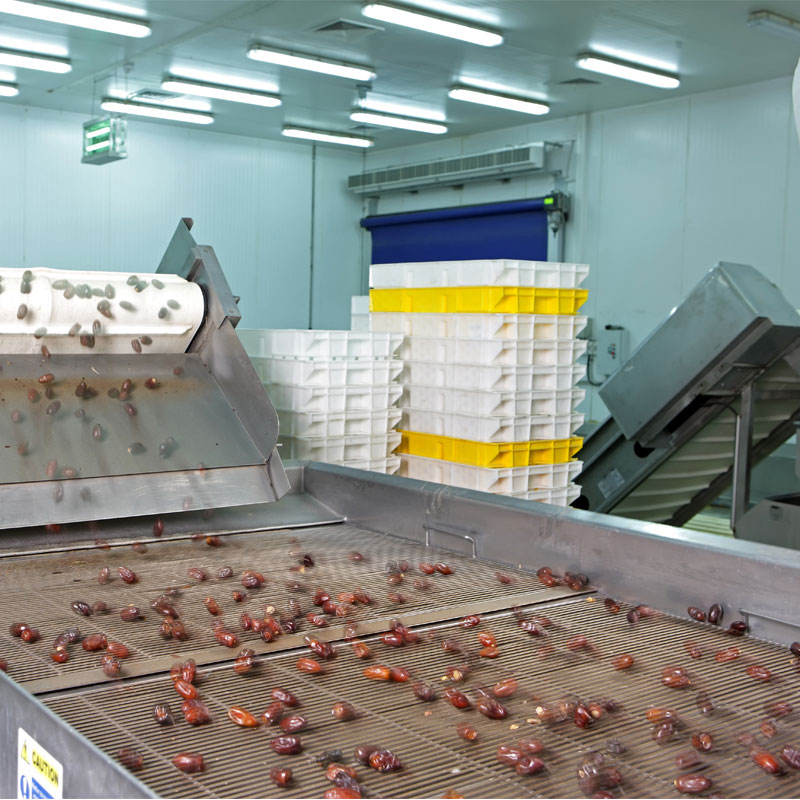 Palm dates deep processing line