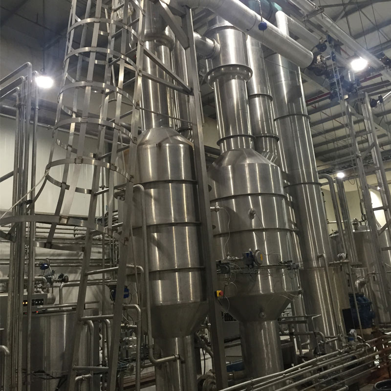 Palm dates deep processing line