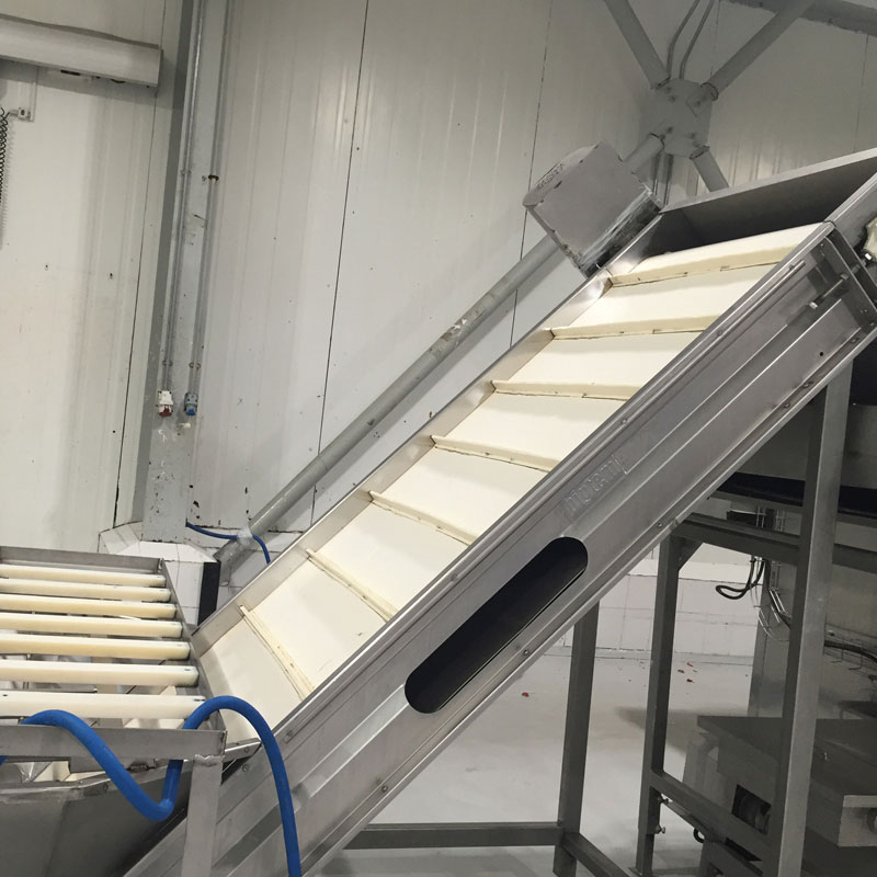 Palm dates deep processing line