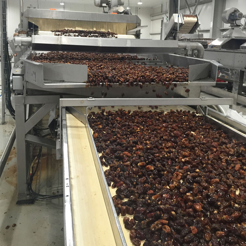 Palm dates deep processing line
