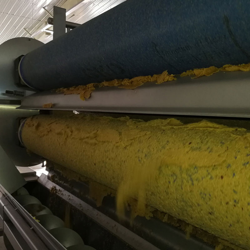 Apple integrated processing line