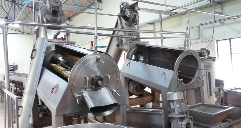 fruit stone clearing machine