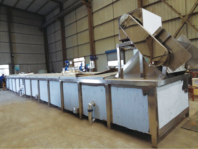 Chain plate blancher