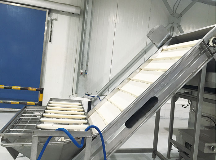 Fruit scraper elevator