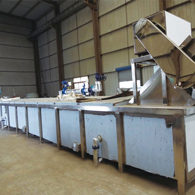 Palm dates deep processing line