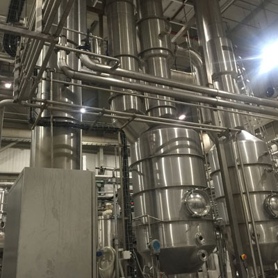 Palm dates deep processing line