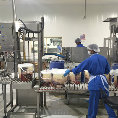 Palm dates deep processing line