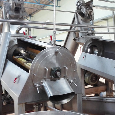 Palm dates deep processing line