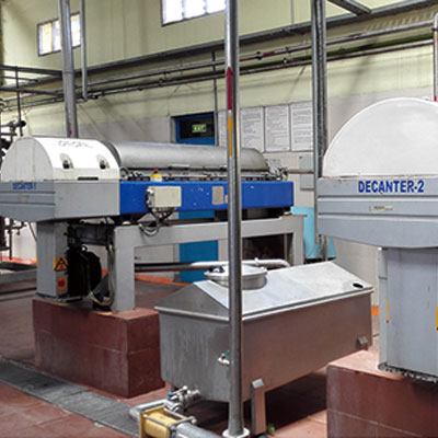 Mango and tomato integrated processing line