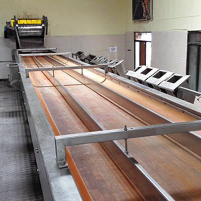 Mango and tomato integrated processing line