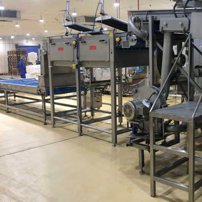 Palm dates water washing processing line