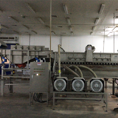 Palm dates water washing processing line