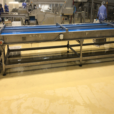 Palm dates dry washing processing line