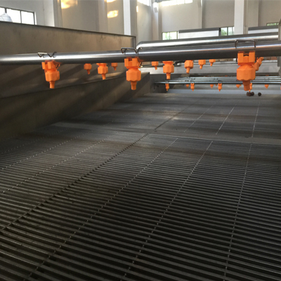 Palm dates dry washing processing line